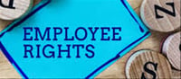 🚨 Alert for Private Sector Employees: You Must Know These 12 Rights in India
